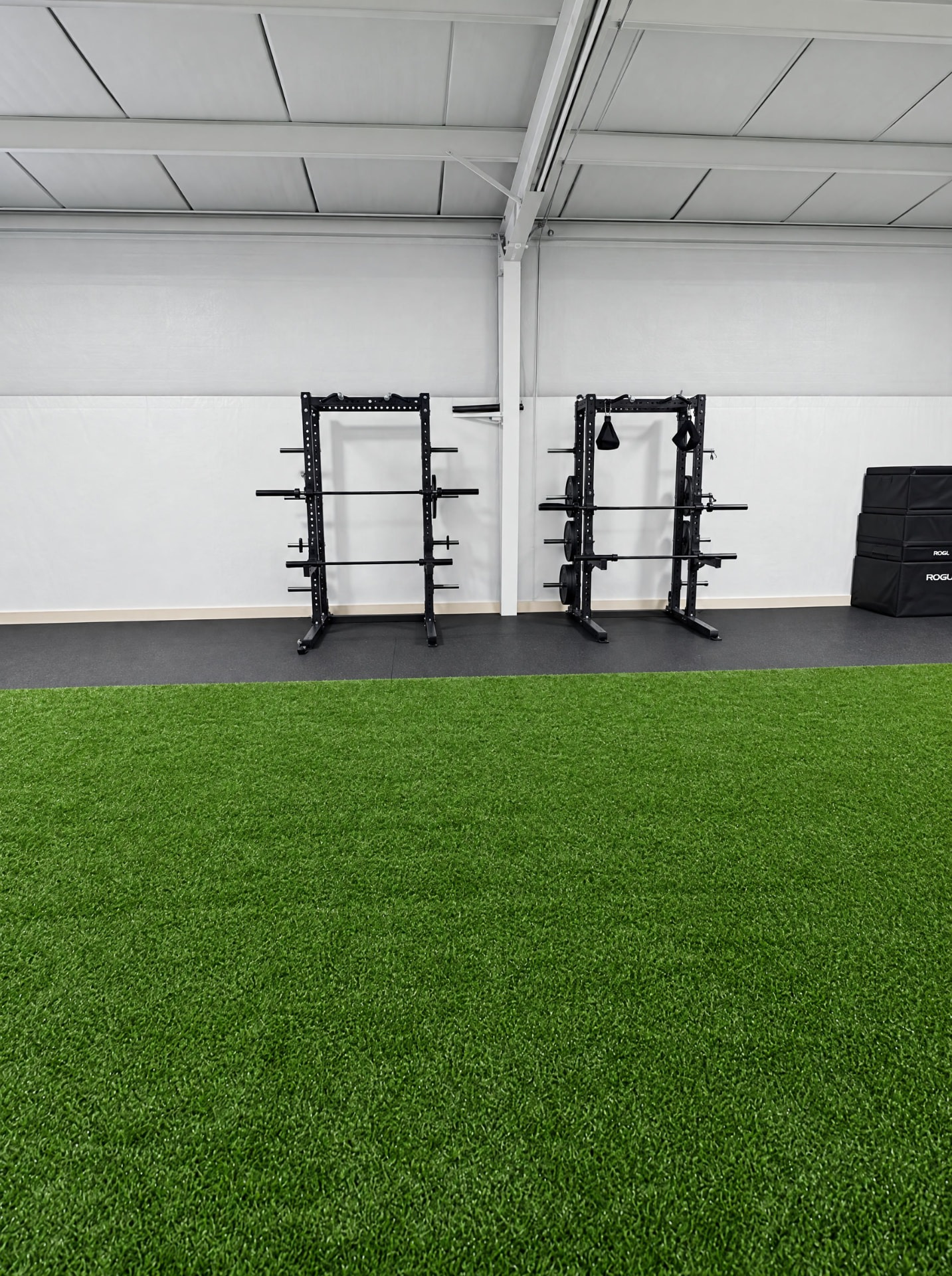 Professional strength training racks along the turf at THE R